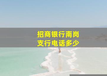 招商银行南岗支行电话多少