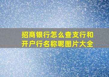 招商银行怎么查支行和开户行名称呢图片大全