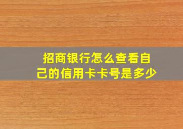 招商银行怎么查看自己的信用卡卡号是多少