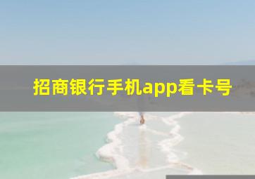 招商银行手机app看卡号