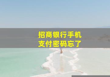 招商银行手机支付密码忘了