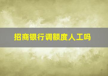 招商银行调额度人工吗