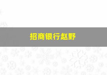 招商银行赵野