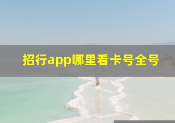 招行app哪里看卡号全号