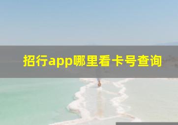 招行app哪里看卡号查询