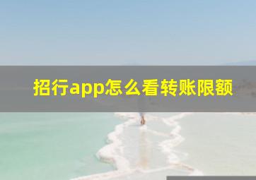 招行app怎么看转账限额