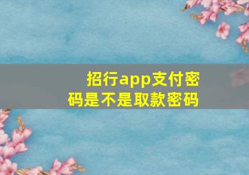 招行app支付密码是不是取款密码