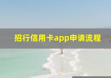 招行信用卡app申请流程