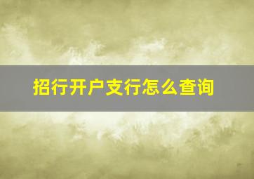 招行开户支行怎么查询