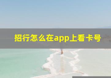 招行怎么在app上看卡号