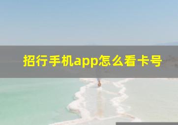 招行手机app怎么看卡号