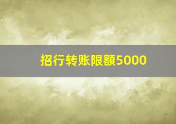 招行转账限额5000