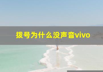 拨号为什么没声音vivo