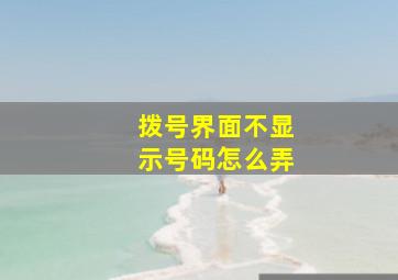 拨号界面不显示号码怎么弄