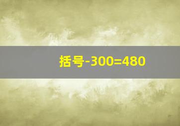 括号-300=480