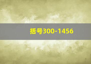 括号300-1456