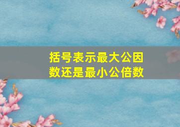 括号表示最大公因数还是最小公倍数