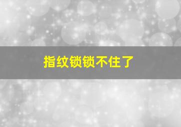 指纹锁锁不住了