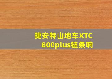 捷安特山地车XTC800plus链条响