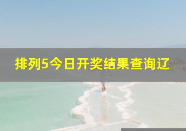 排列5今日开奖结果查询辽