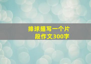 排球描写一个片段作文300字