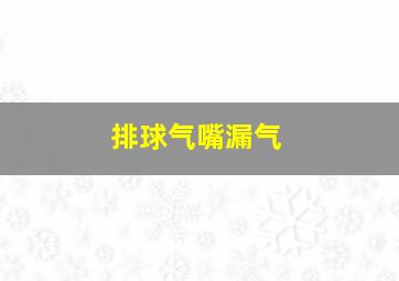 排球气嘴漏气