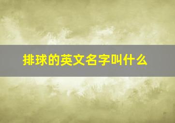 排球的英文名字叫什么