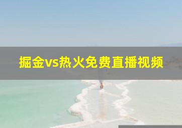 掘金vs热火免费直播视频