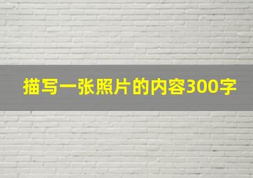 描写一张照片的内容300字