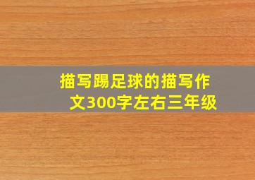 描写踢足球的描写作文300字左右三年级