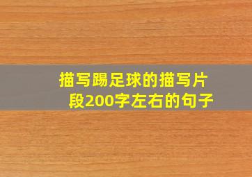 描写踢足球的描写片段200字左右的句子