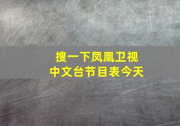 搜一下凤凰卫视中文台节目表今天