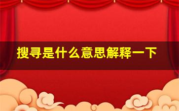 搜寻是什么意思解释一下