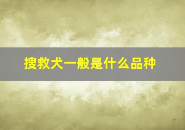 搜救犬一般是什么品种