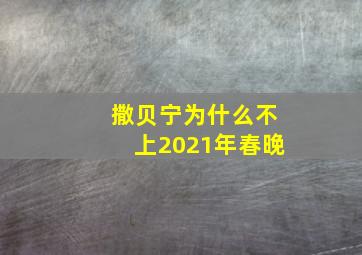 撒贝宁为什么不上2021年春晚