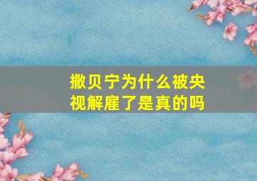 撒贝宁为什么被央视解雇了是真的吗