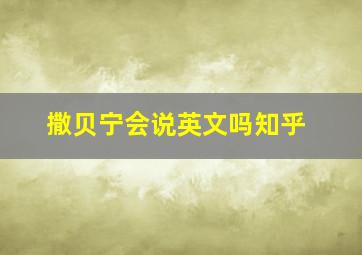 撒贝宁会说英文吗知乎