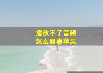 播放不了音频怎么回事苹果