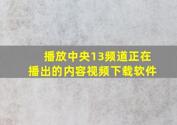 播放中央13频道正在播出的内容视频下载软件