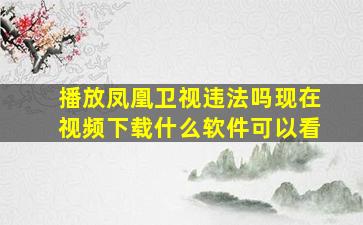 播放凤凰卫视违法吗现在视频下载什么软件可以看