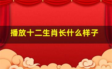 播放十二生肖长什么样子