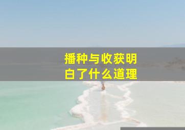 播种与收获明白了什么道理