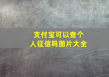 支付宝可以查个人征信吗图片大全