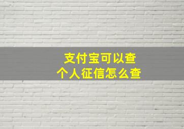 支付宝可以查个人征信怎么查