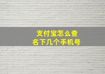 支付宝怎么查名下几个手机号