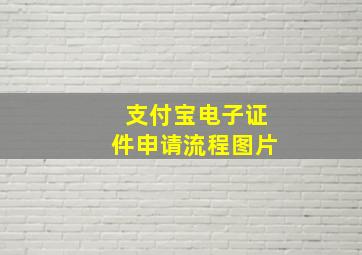 支付宝电子证件申请流程图片