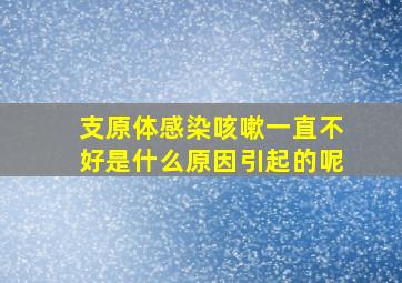 支原体感染咳嗽一直不好是什么原因引起的呢