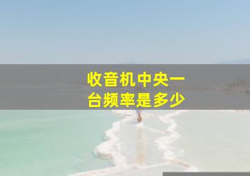 收音机中央一台频率是多少