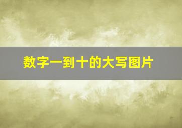 数字一到十的大写图片