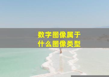 数字图像属于什么图像类型